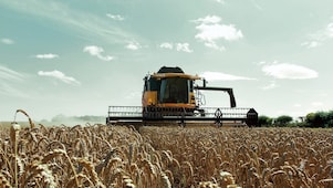 Una cosechadora amarilla en un campo de trigo