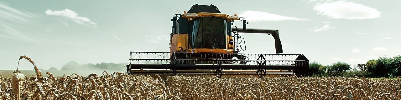 Una cosechadora amarilla en un campo de trigo