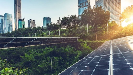 Teja solar, con edificios y árboles alrededor