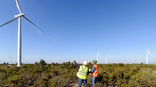 Trabajadores observando la estación de energía eólica